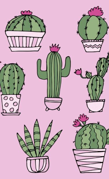 The design features green cacti in pots with pink flowers on a pink background for cool girly HD wallpapers 4K, HD Mobile Wallpaper