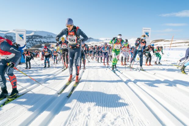 Athletes competing in a cross country skiing race under a clear blue sky, HD Desktop Wallpaper