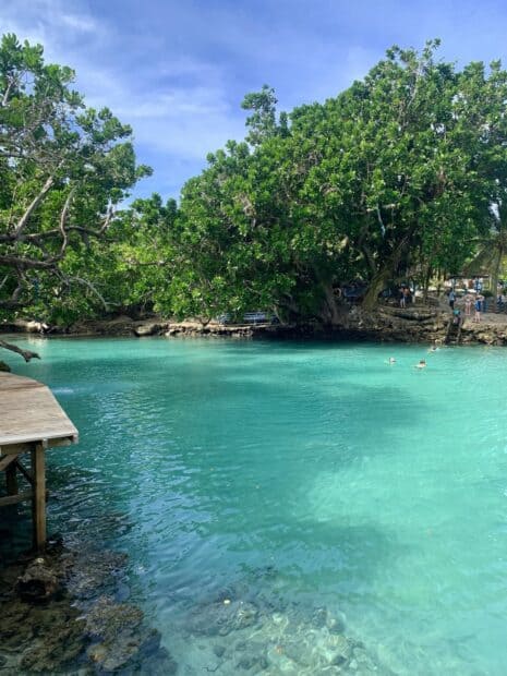 A beautiful lagoon with clear blue water and lush trees at Espiritu Santo Vanuatu, HD Mobile Wallpaper