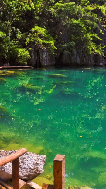 Crystal clear lake in Palawan surrounded by lush greenery reflecting the trees and rocks nearby, HD Phone Wallpaper