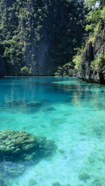 The crystal clear water beautifully shows the corals beneath in Palawan, HD Phone Wallpaper
