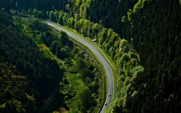 A race track curves through a dense green forest with two cars racing along the road, HD Desktop Wallpaper