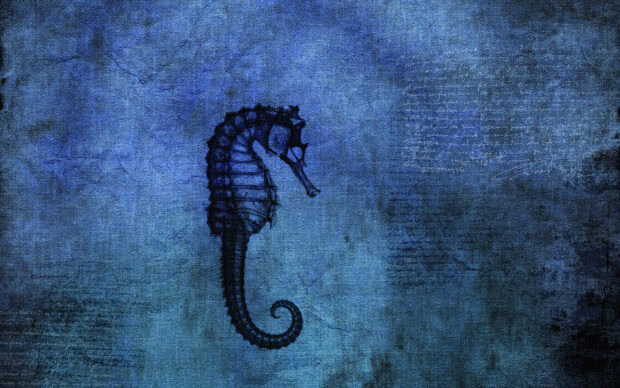 A dark artistic seahorse design is displayed on a textured blue background, 2K Desktop Wallpaper