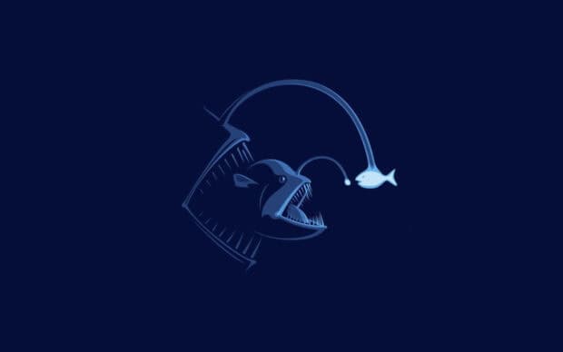 The image shows a deep sea anglerfish using its lure to attract a smaller fish in dark water, HD Desktop Wallpaper