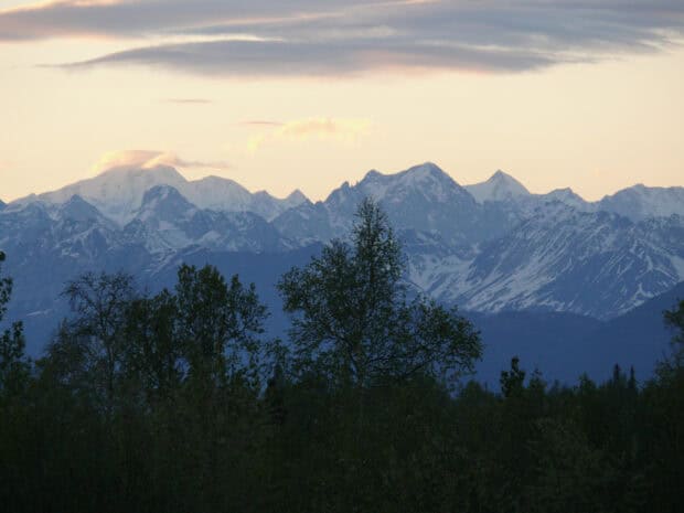 The snow covered peaks in Denali National Park And Preserve rise above a forest at sunset, HD Desktop Wallpaper