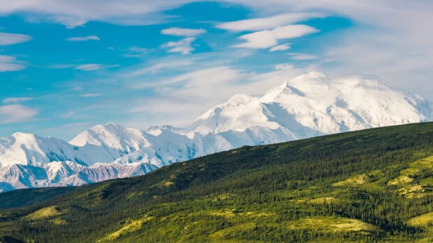 Snow capped mountains rise over green forest in Denali National Park And Preserve, 4K Desktop Wallpaper