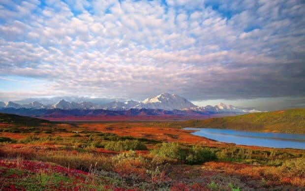 Denali National Park And Preserve features colorful tundra and snowy mountains under a cloudy sky, HD Desktop Wallpaper