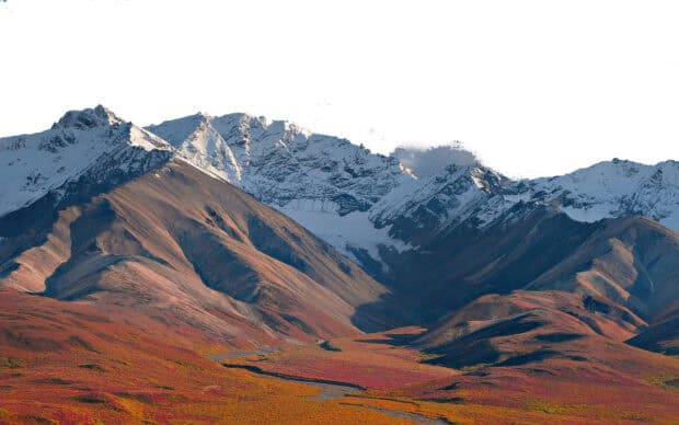 A scenic view of snow capped peaks and autumn valleys in Denali National Park and Preserve, HD Desktop Wallpaper