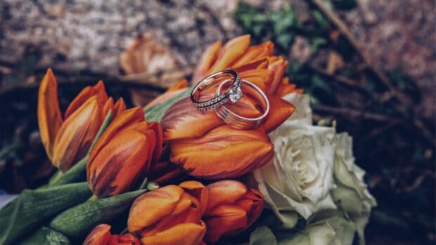 A pair of diamond wedding rings resting on orange and white flowers in a garden, 4K Desktop Wallpaper