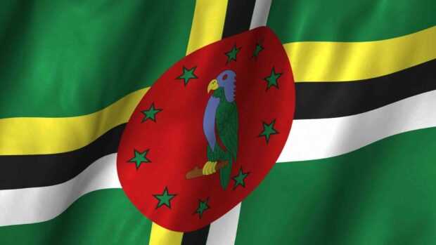 The Dominica flag features a parrot on a red circle with stars over a green, yellow, black, and white cross, HD Desktop Wallpaper