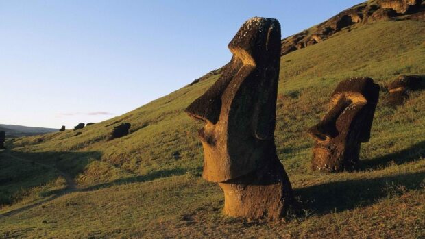 The Easter Island statues stand on a grassy hill under a clear sky capturing ancient history, HD Desktop Wallpaper
