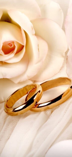 A pair of gold wedding rings placed beside a delicate cream colored rose flower, HD Mobile Wallpaper