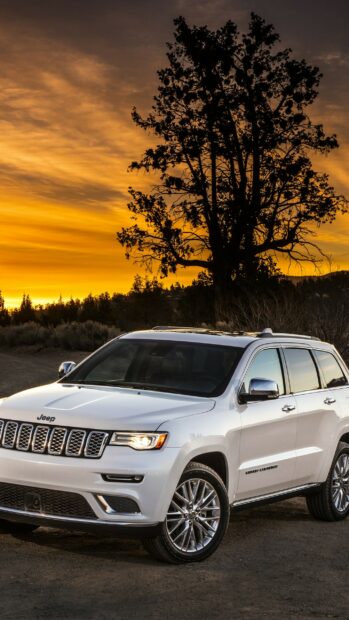 A white Jeep Grand Cherokee stands near a tall tree against a golden sunset sky, 2K Mobile Wallpaper