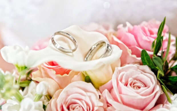 Two wedding rings resting on soft pink roses and white flowers, 2K Desktop Wallpaper