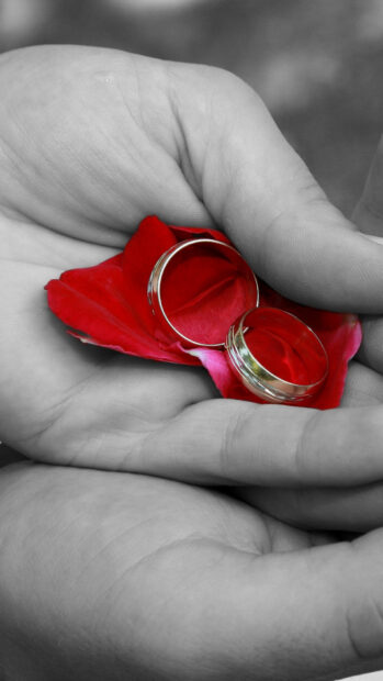 Close up, Stunning wedding rings lie on a bright red rose petal held by two hands, HD Mobile Wallpaper