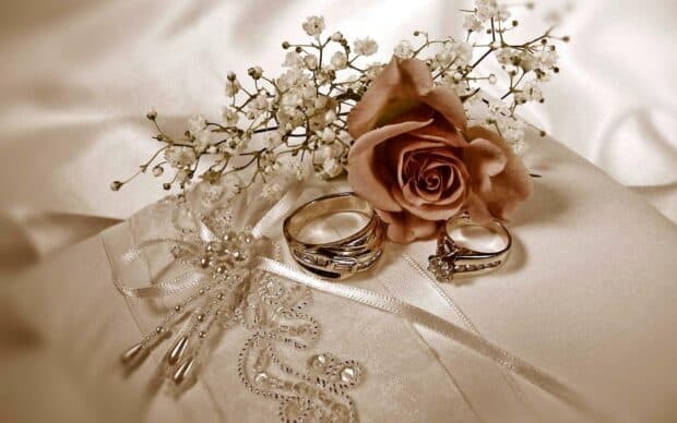 Two wedding rings placed next to a brown rose and white lace fabric on satin cloth, HD Desktop Wallpaper