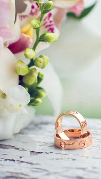 Two golden wedding rings placed near white flowers in a close up shot, HD Mobile Wallpaper