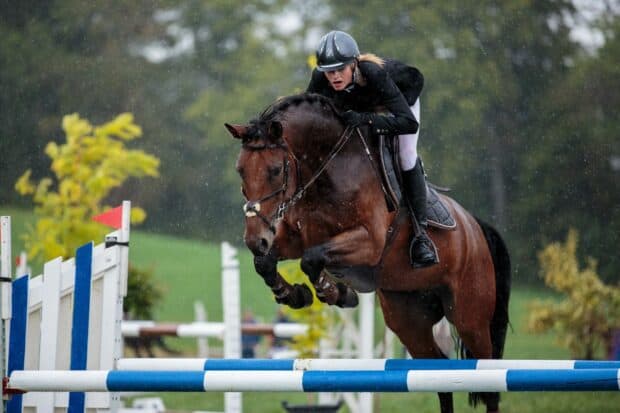 A rider on a horse is jumping over an obstacle during an eventing competition, 2K Desktop Wallpaper