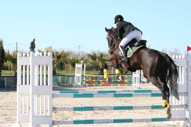 An equestrian athlete is shown clearing a jump on a horse in an eventing competition, HD Desktop Wallpaper