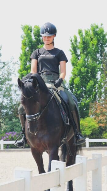 A female rider is practicing eventing on a dark horse outdoors, HD Mobile Wallpaper