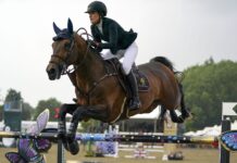 A rider competes in an eventing competition jumping over a brightly decorated obstacle, HD Desktop Wallpaper