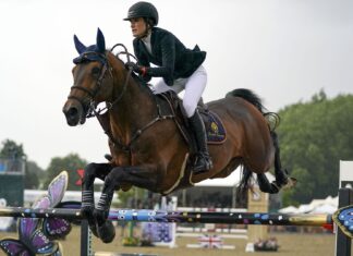 A rider competes in an eventing competition jumping over a brightly decorated obstacle, HD Desktop Wallpaper