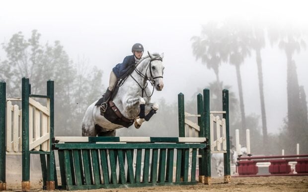 A rider is jumping a white horse over green and white obstacles in an eventing competition, 2K Desktop Wallpaper