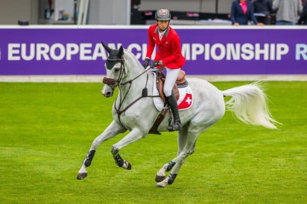 A horse and rider are shown in action during an eventing competition, HD Desktop Wallpaper