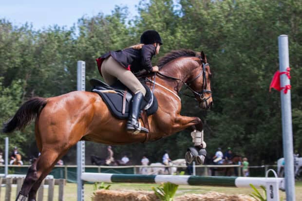 An eventing rider is jumping a horse over a fence during the competition, 2K Desktop Wallpaper