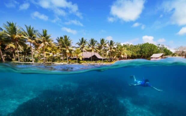A snorkeler explores the clear blue waters near palm trees on Espiritu Santo Vanuatu, 2K Desktop Wallpaper