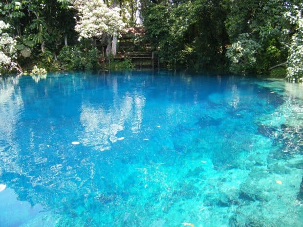 A serene blue pond surrounded by lush green trees in Espiritu Santo Vanuatu, HD Desktop Wallpaper