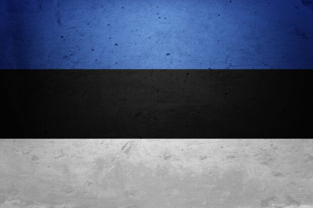 The Estonia flag design features blue black and white stripes on a rough textured surface, HD Desktop Wallpaper
