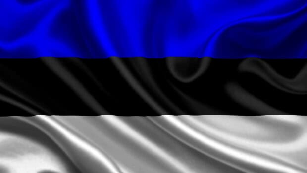 A flowing Estonia flag with blue black and white stripes waving in the wind, HD Desktop Wallpaper