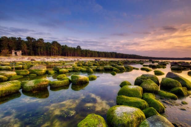 The Estonia Wallpapers show a scenic view of moss covered rocks along the shore under a colorful sky, HD Desktop Wallpaper