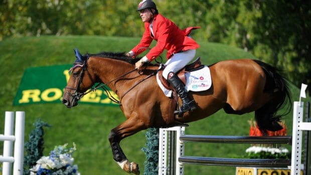 A rider in red jacket is jumping over an obstacle on a horse during an eventing competition, 4K Desktop Wallpaper