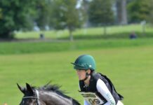 A rider and horse are jumping over a water obstacle in an eventing competition, 2K Mobile Wallpaper