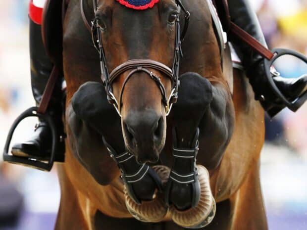 A horse and rider are captured mid air during an eventing competition jump, HD Desktop Wallpaper