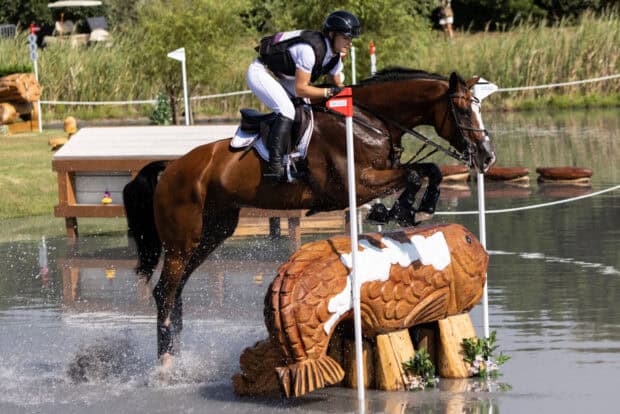 A horse and rider compete in eventing by jumping over a wooden fish obstacle in water, HD Desktop Wallpaper