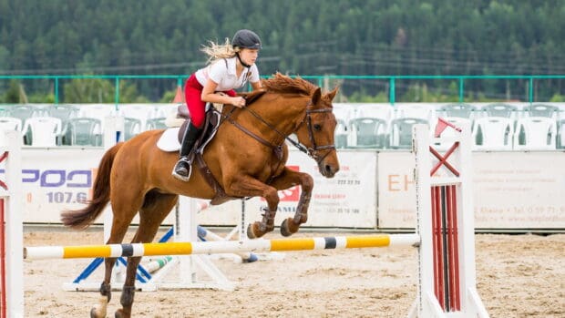 A rider is guiding the horse over a jump during an eventing competition outdoors, HD Desktop Wallpaper