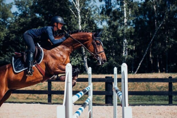 A rider performs a jump with a horse during an eventing competition, HD Desktop Wallpaper