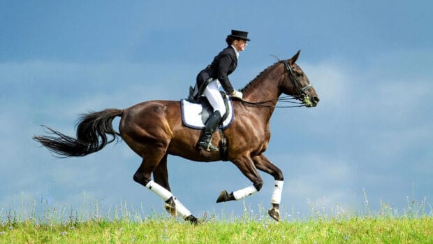 A rider is performing eventing on a galloping horse through a grassy field, HD Desktop Wallpaper