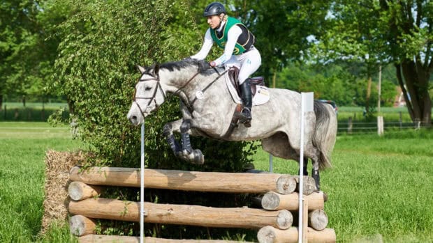 A rider in green vest competes in an eventing jumping competition on a gray horse, 2K Desktop Wallpaper