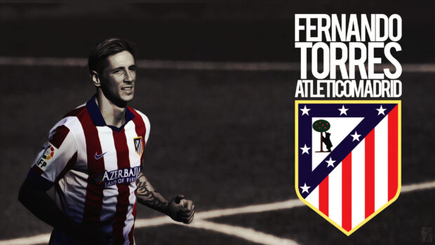 Fernando Torres celebrates in Atletico Madrid uniform on the field, HD Desktop Wallpaper