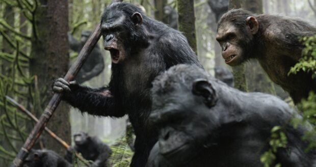 A group of apes preparing for battle in a dense forest scene from Planet Of The Apes, HD Desktop Wallpaper