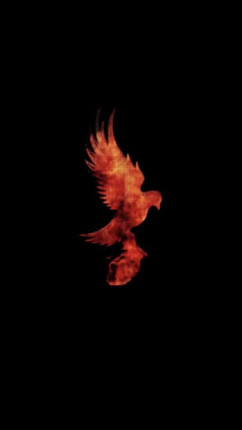 A fiery bird with spread wings represents the Hollywood Undead band logo on black, HD Mobile Wallpaper