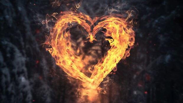A flaming heart shape glows brightly against a dark forest background, 4K Desktop Wallpaper