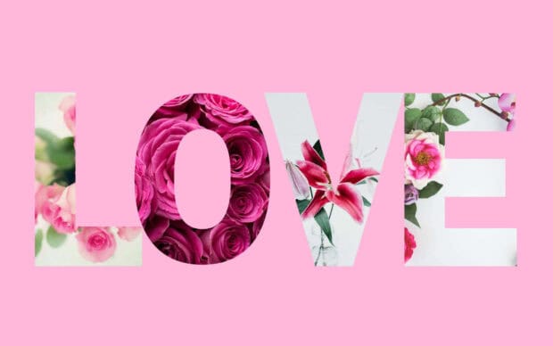 The design shows the word love filled with various pink flowers on a pink background, HD Desktop Wallpaper