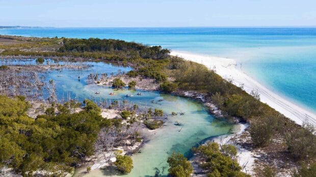 A view of Fraser Island's river flowing into the turquoise sea with dense greenery nearby, HD Desktop Wallpaper