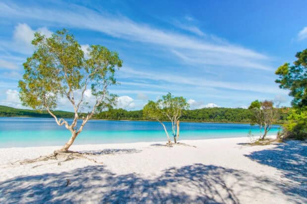 The Fraser Island features a turquoise lake with white sand and green trees under a bright sky, HD Desktop Wallpaper
