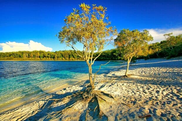 A clear blue lake with trees on Fraser Island is shown under bright sunlight, HD Desktop Wallpaper